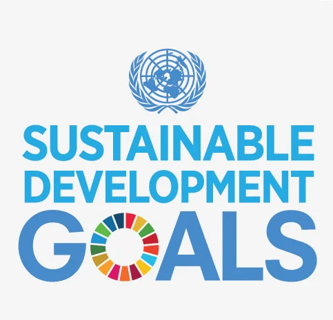 Sustainable Development Goals Icons